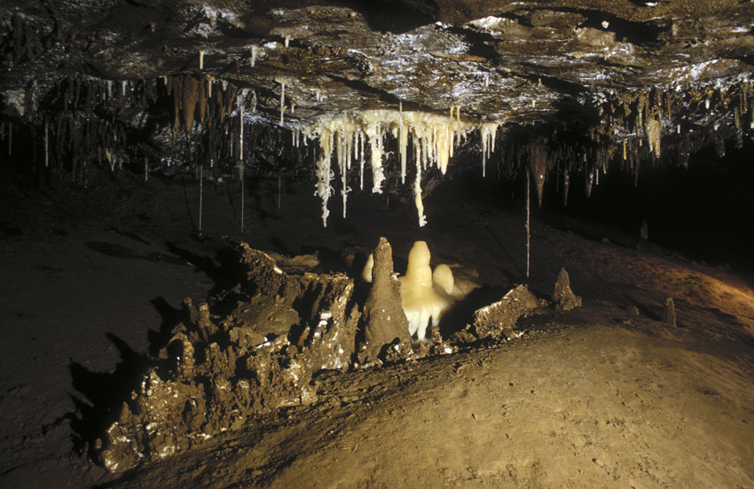 Basissystem 800 Galerie (5)